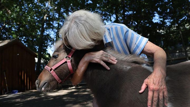 Keep Clover Home With Judy in Newton campaign photo, 1 of 8