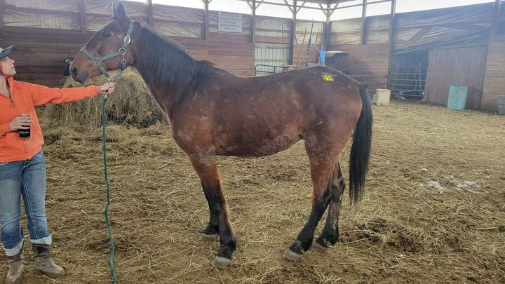 Main fundraiser photo