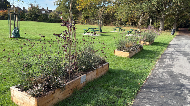 Get Lyttelton buzzing! - sponsor a planter in the park campaign photo, 1 of 3