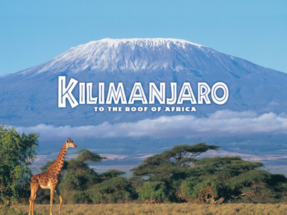 Fundraiser’s main image