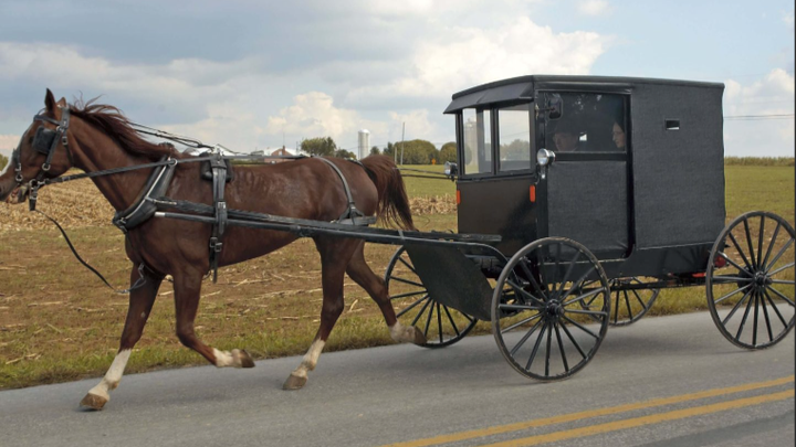 Fundraiser by Summer Pelly : Amish young lady hit by reckless driver.