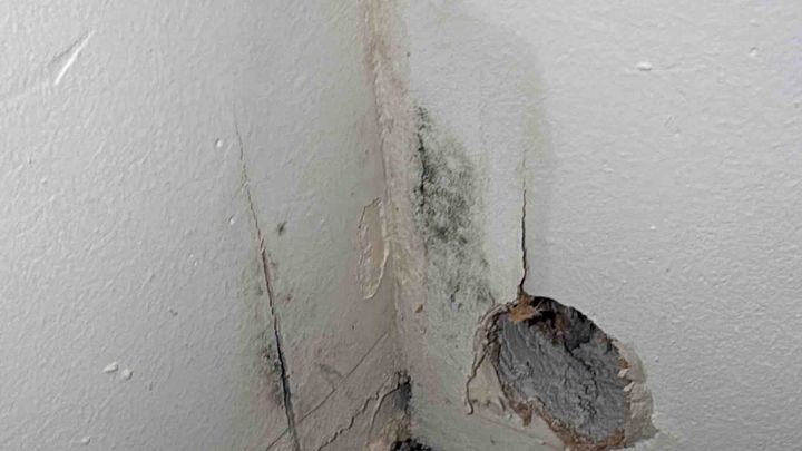 HELP US SECURE MOLD FREE STABLE HOUSING MOM & KIDS campaign photo, 1 of 8
