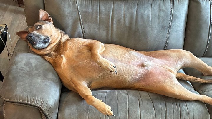 Help Hugo Recover and Get Back to Play campaign photo, 1 of 8