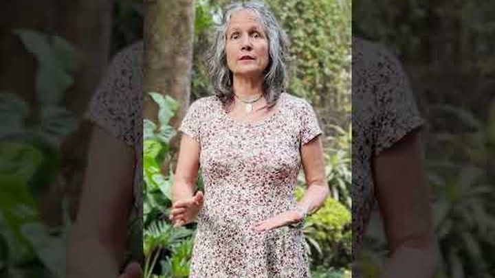 Foto principal de la recaudación de fondos