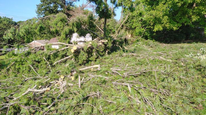 Help Kayce and Pet Recover from Storm Damage campaign photo, 1 of 6
