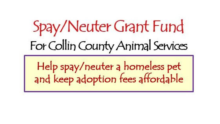 Spay/Neuter fund campaign photo, 1 of 3