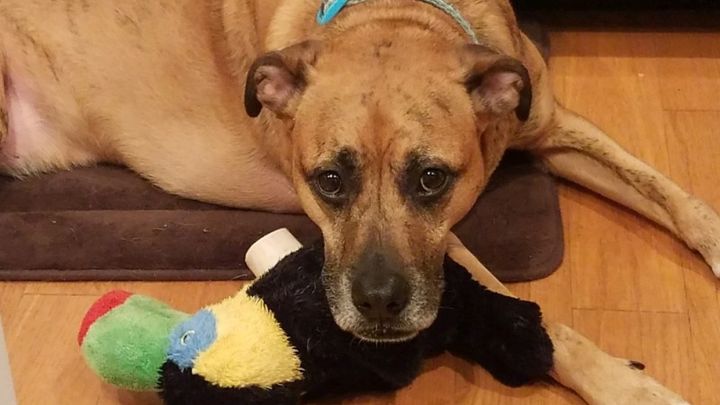 Main fundraiser photo