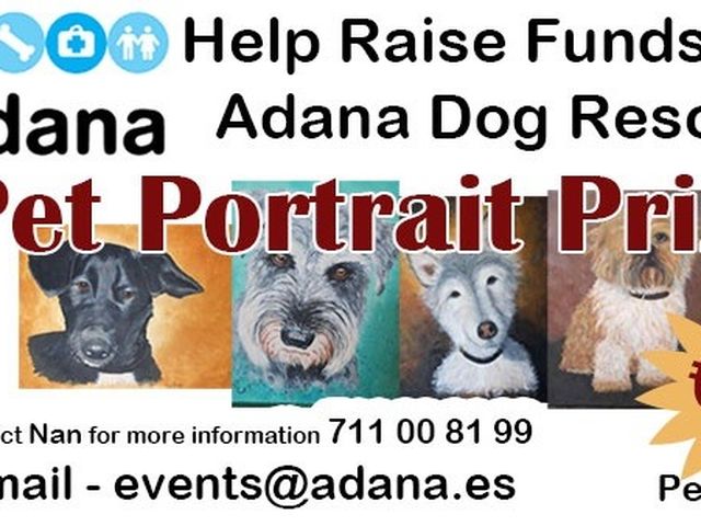Fundraiser By Antony Johnson Help Needed For Adana Dog Rescue Shelter