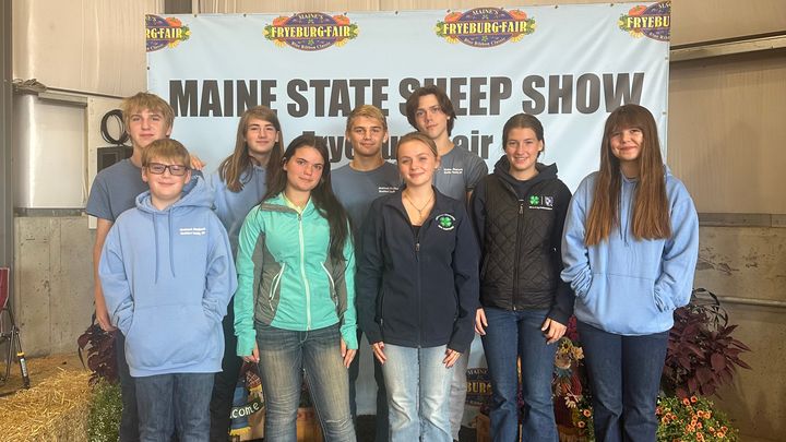 Send the Woolmark Shepherds to the All American Junior Show! campaign photo, 1 of 3