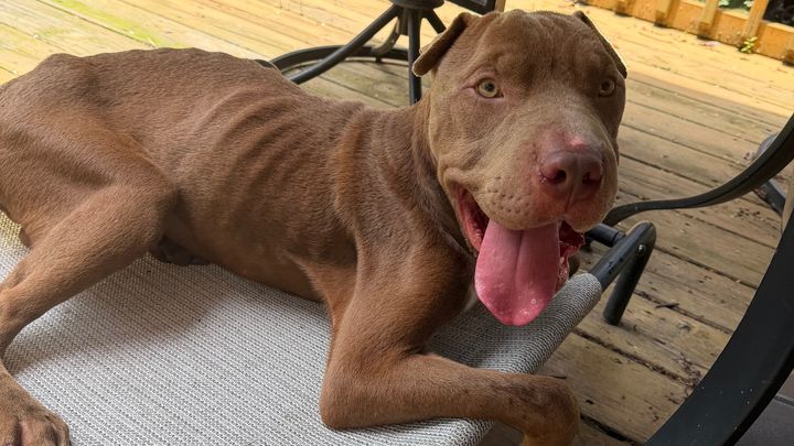 Help Scooter St. Vincent Recover & Thrive