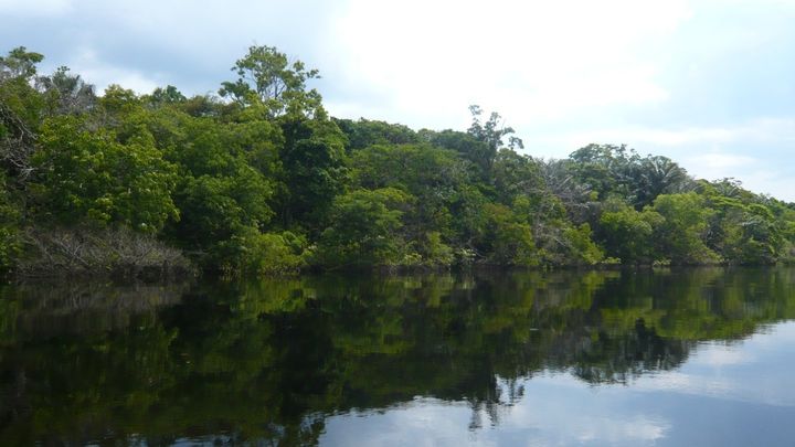 Foto principal de la recaudación de fondos