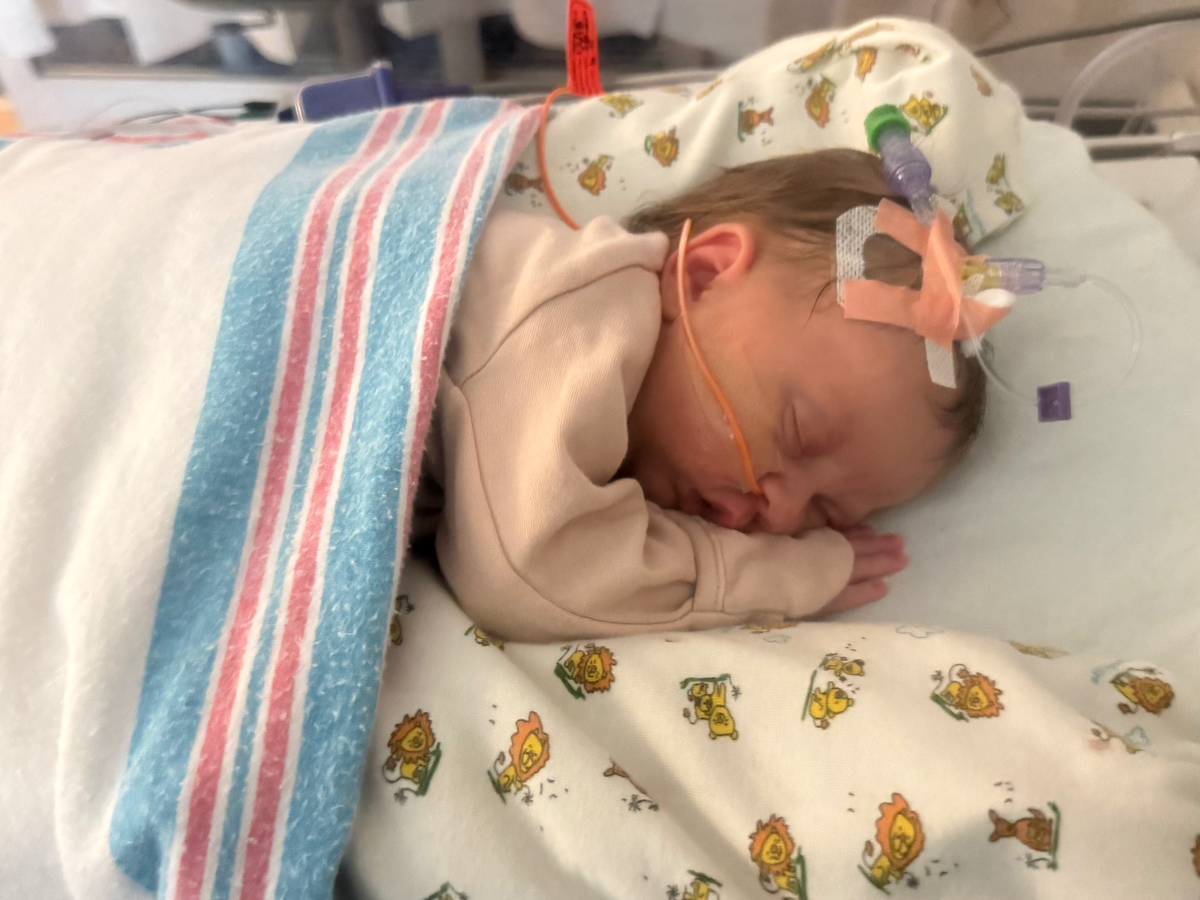 Fundraiser’s main image