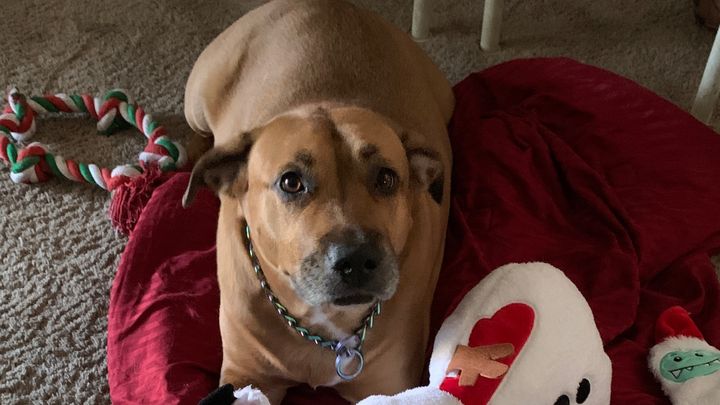 Main fundraiser photo