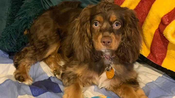 Please Help Me Save My Girl Nami campaign photo, 1 of 6