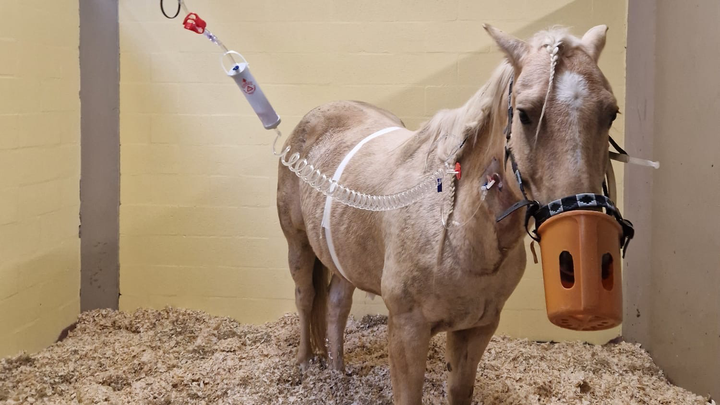 Hoofdafbeelding inzamelingsactie