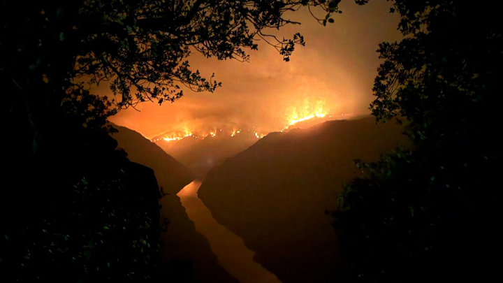 Foto principal da arrecadação