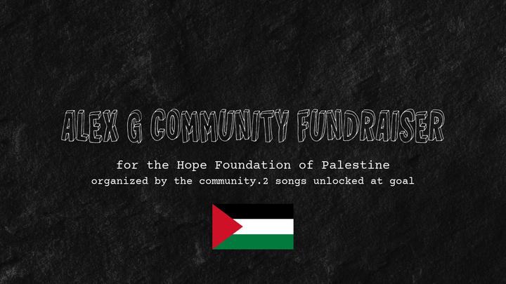 Alex G Community Fundraiser for Aid in Gaza campaign photo, 1 of 3