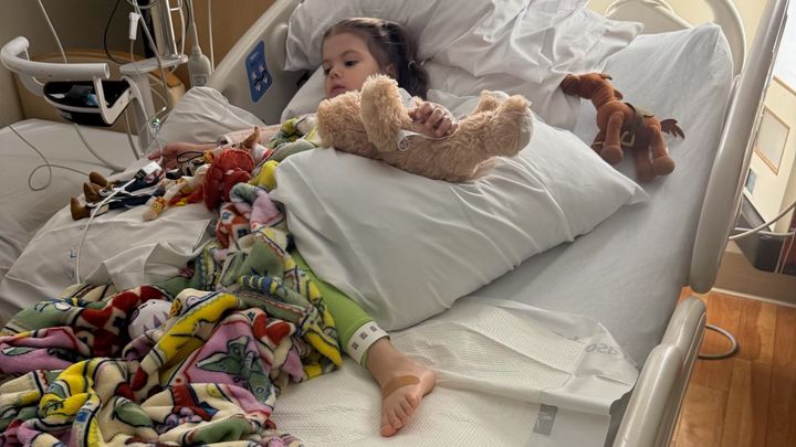 Help Addy Recover After Rattlesnake Bite campaign photo, 1 of 8