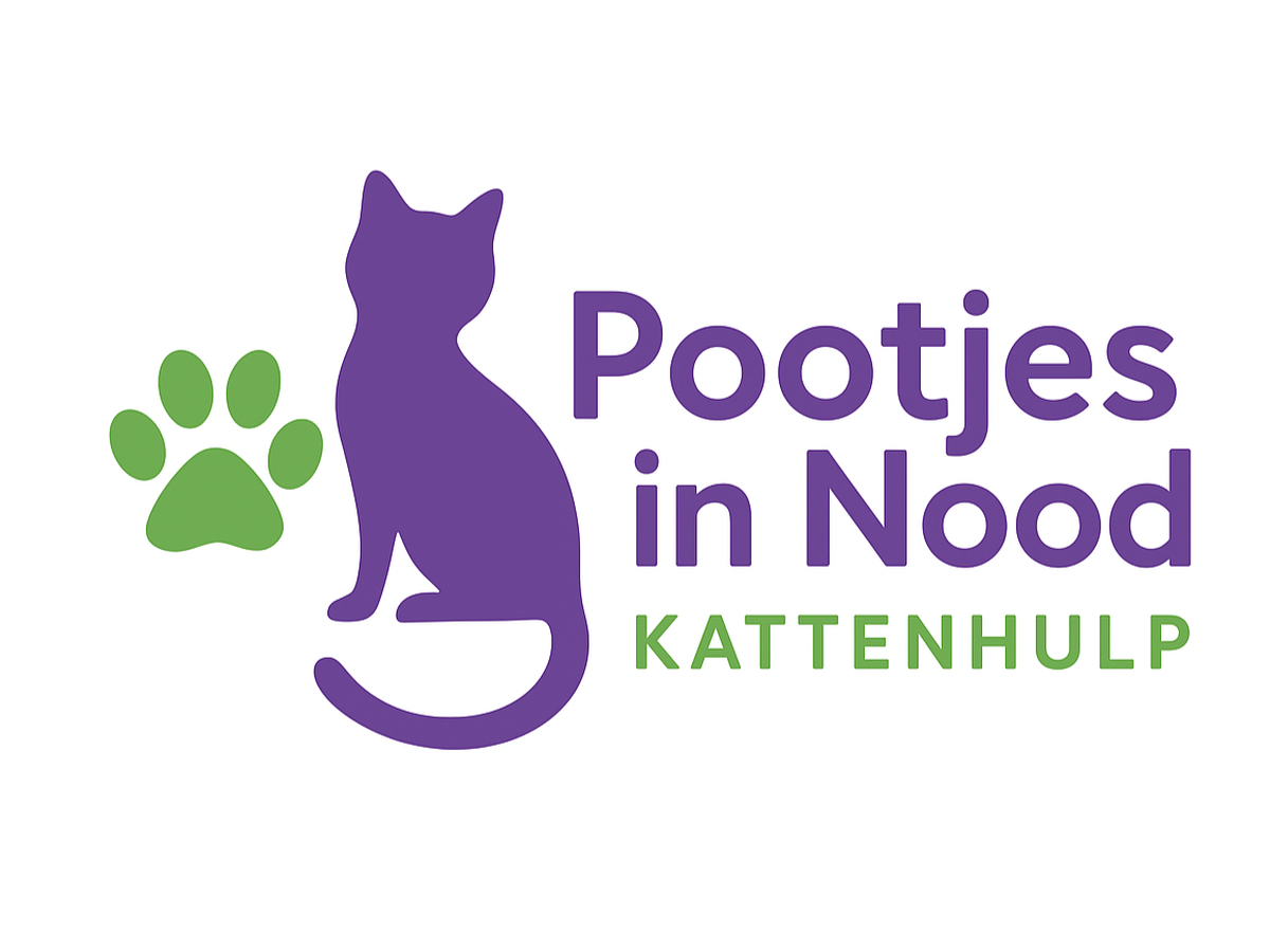 Fundraiser’s main image