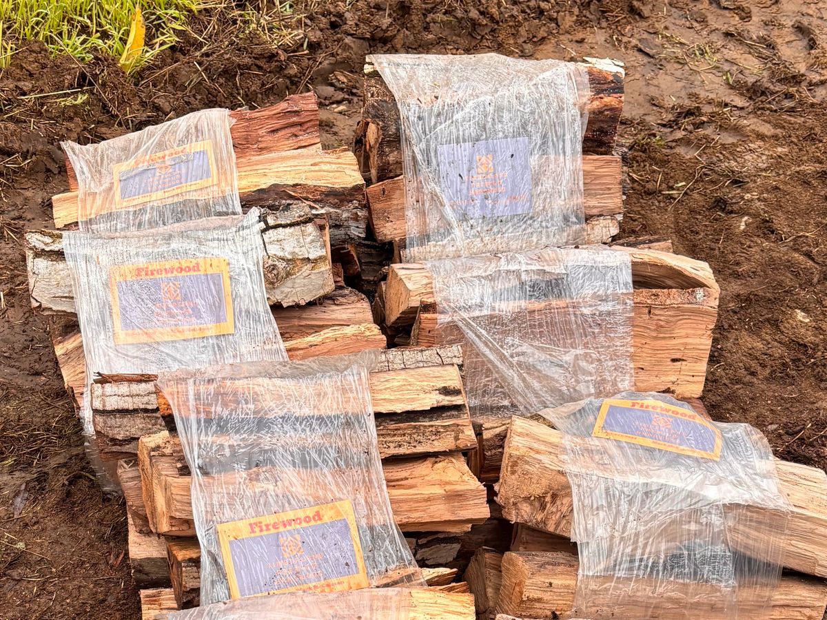 Help Mack Rebuild His Wood Business campaign photo, 1 of 8