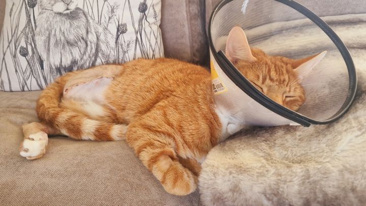 Main fundraiser photo