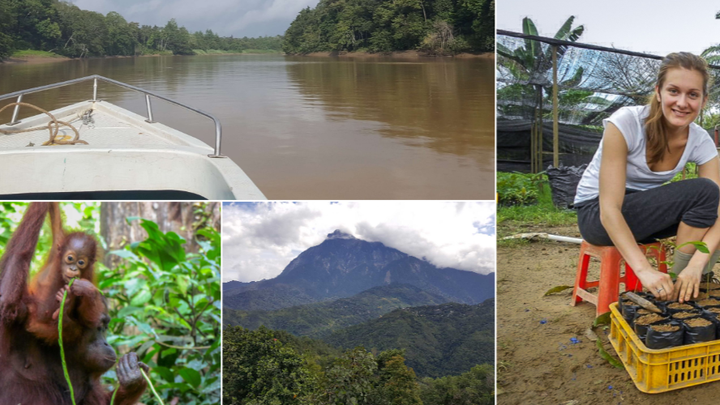 Getting to Borneo campaign photo, 1 of 3