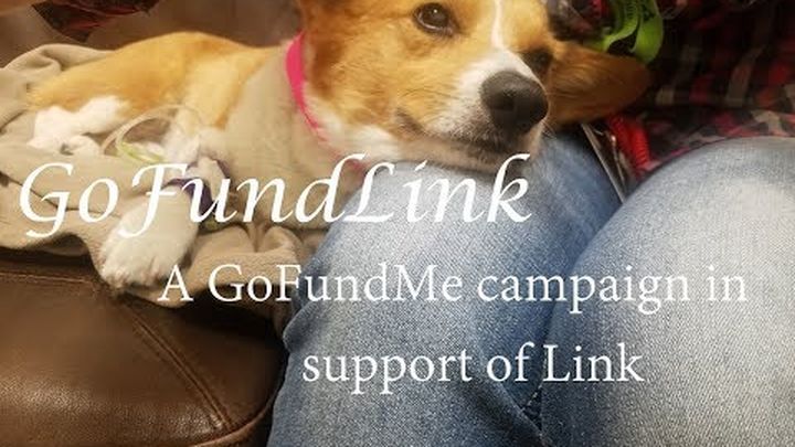 Main fundraiser photo