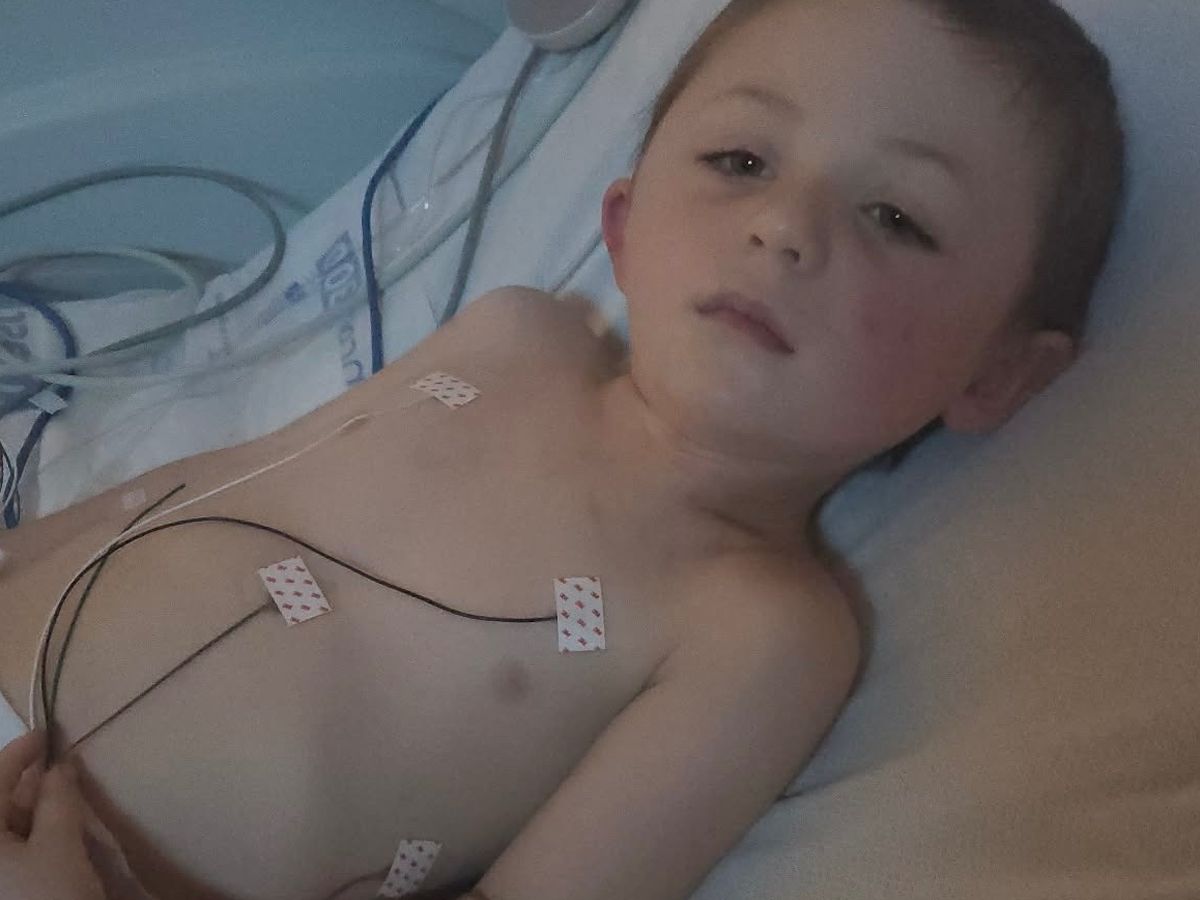 Support Declan After Large Tree Branch Accident campaign photo, 1 of 7