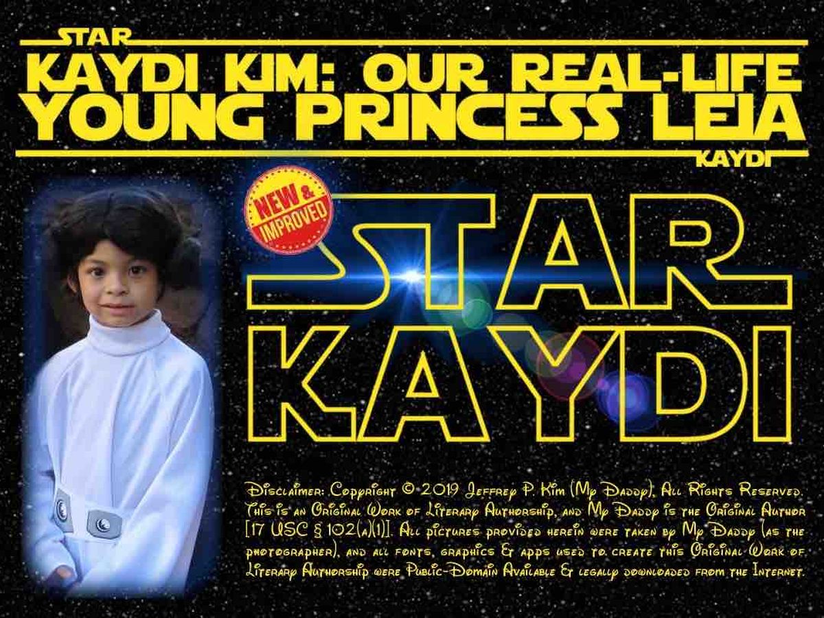 Fundraiser by Young PrincessLeia : Please Help Our Real-Life Young Princess  Leia!!!