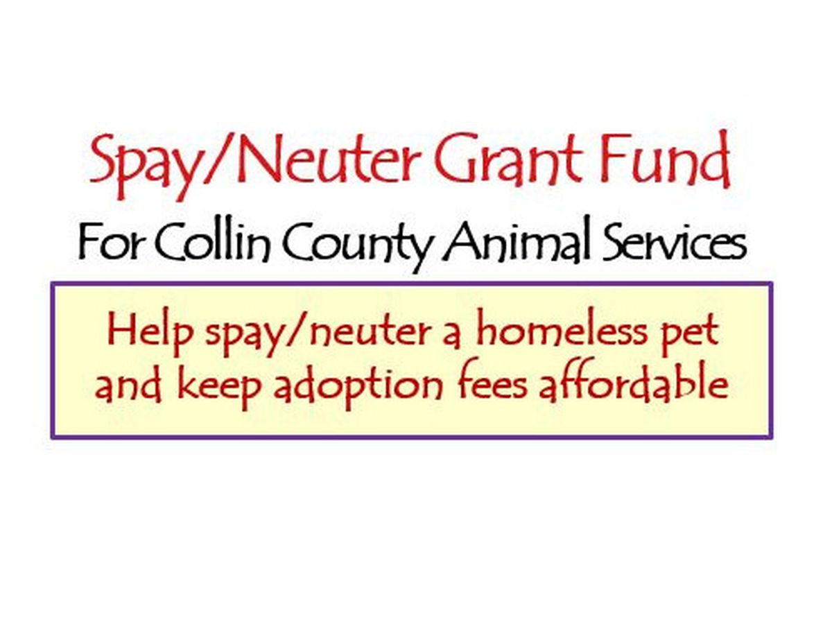 Fundraiser’s main image