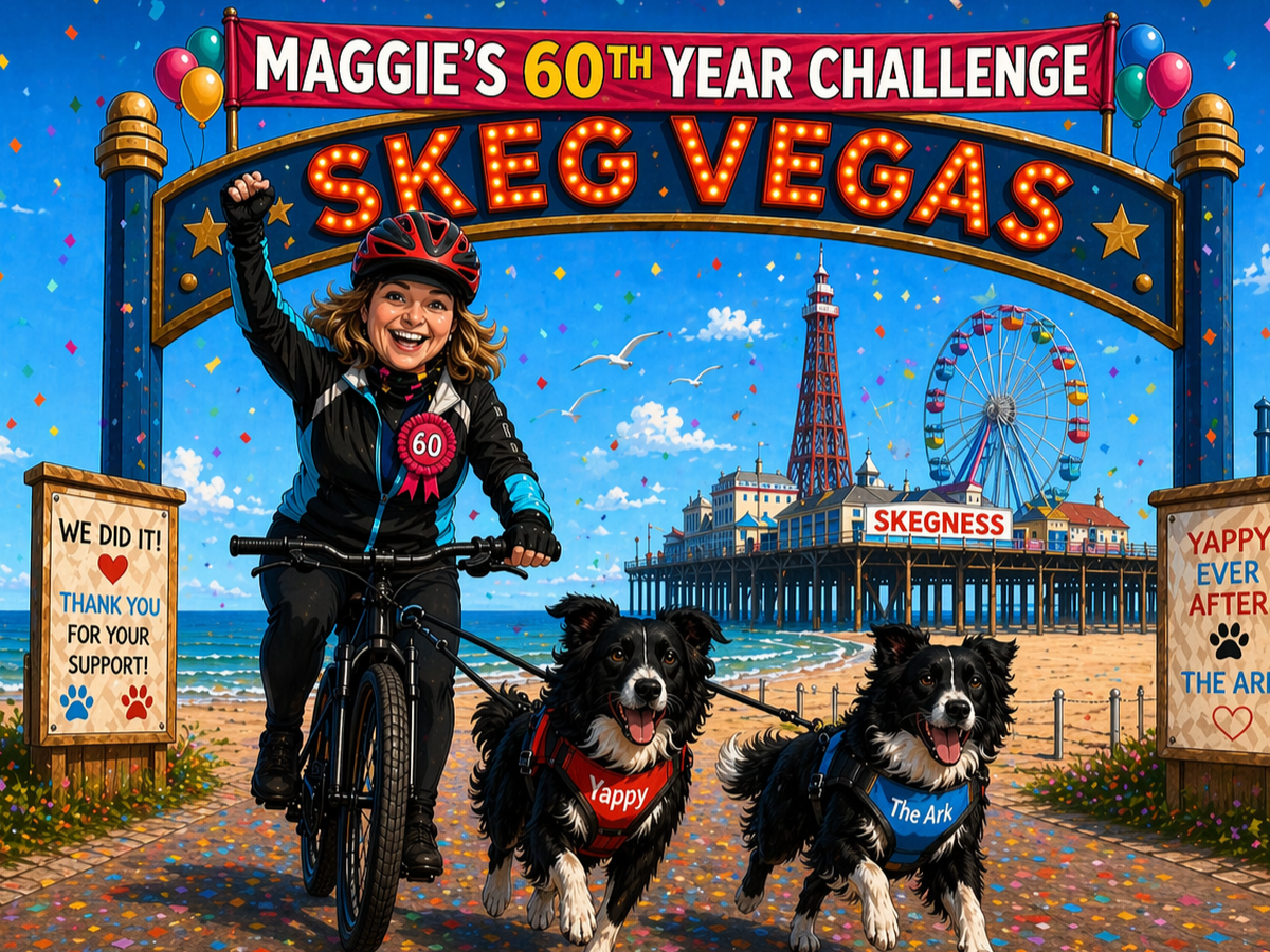 Fundraiser’s main image