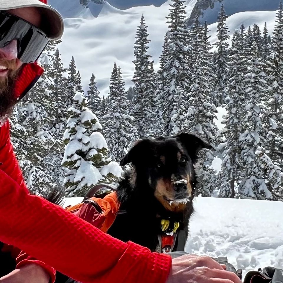 Help! Ullr is still missing after CO avalanche.