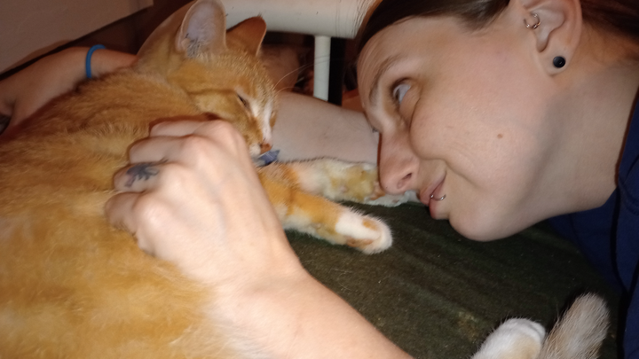 URGENT NEED: Firefighter, Teacher, & Cats face homelessness campaign photo, 1 of 5