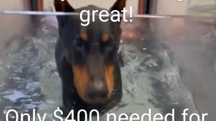 Main fundraiser photo