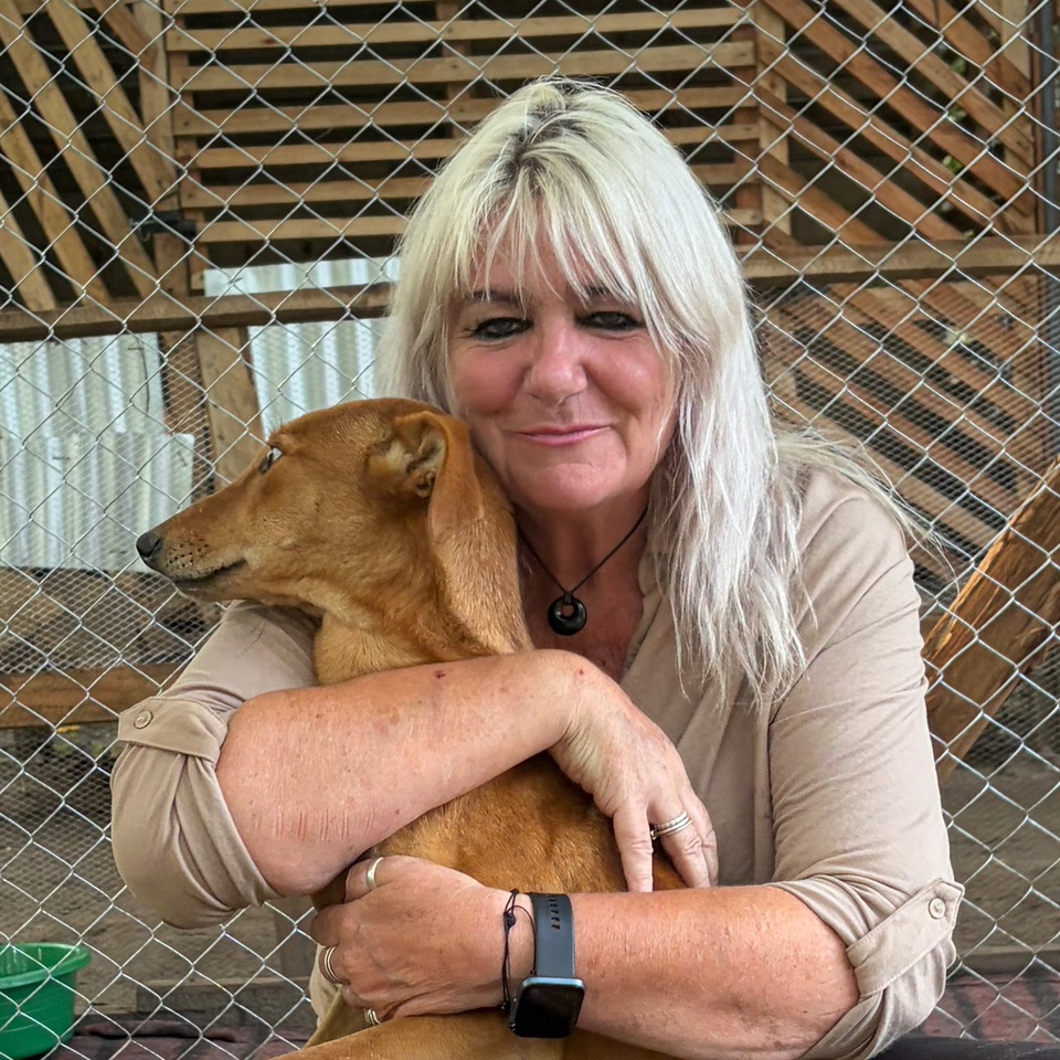 A New start for stray animals @ angels safe haven 1111