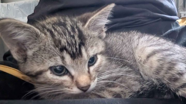 Roadie Survived—Now She Needs Our Help campaign photo, 1 of 5