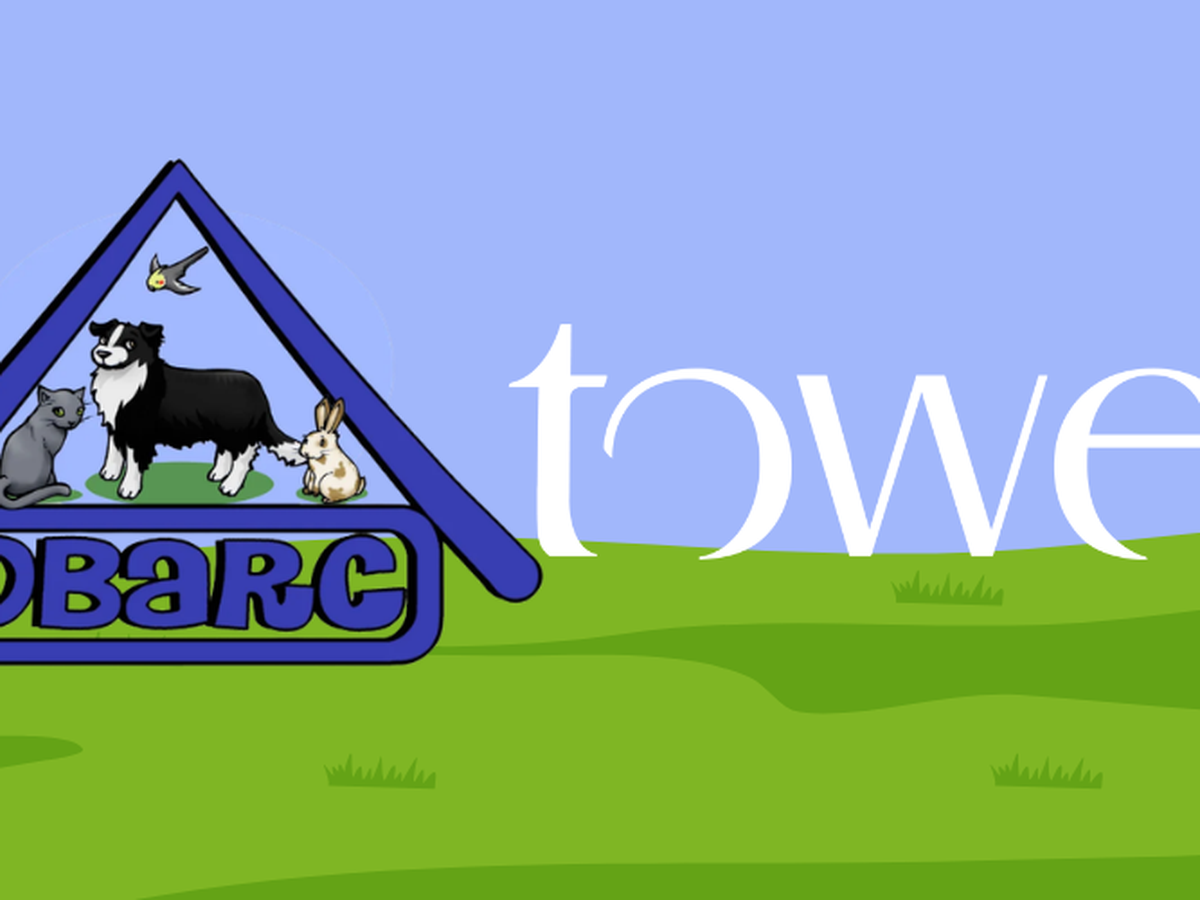 Fundraiser’s main image