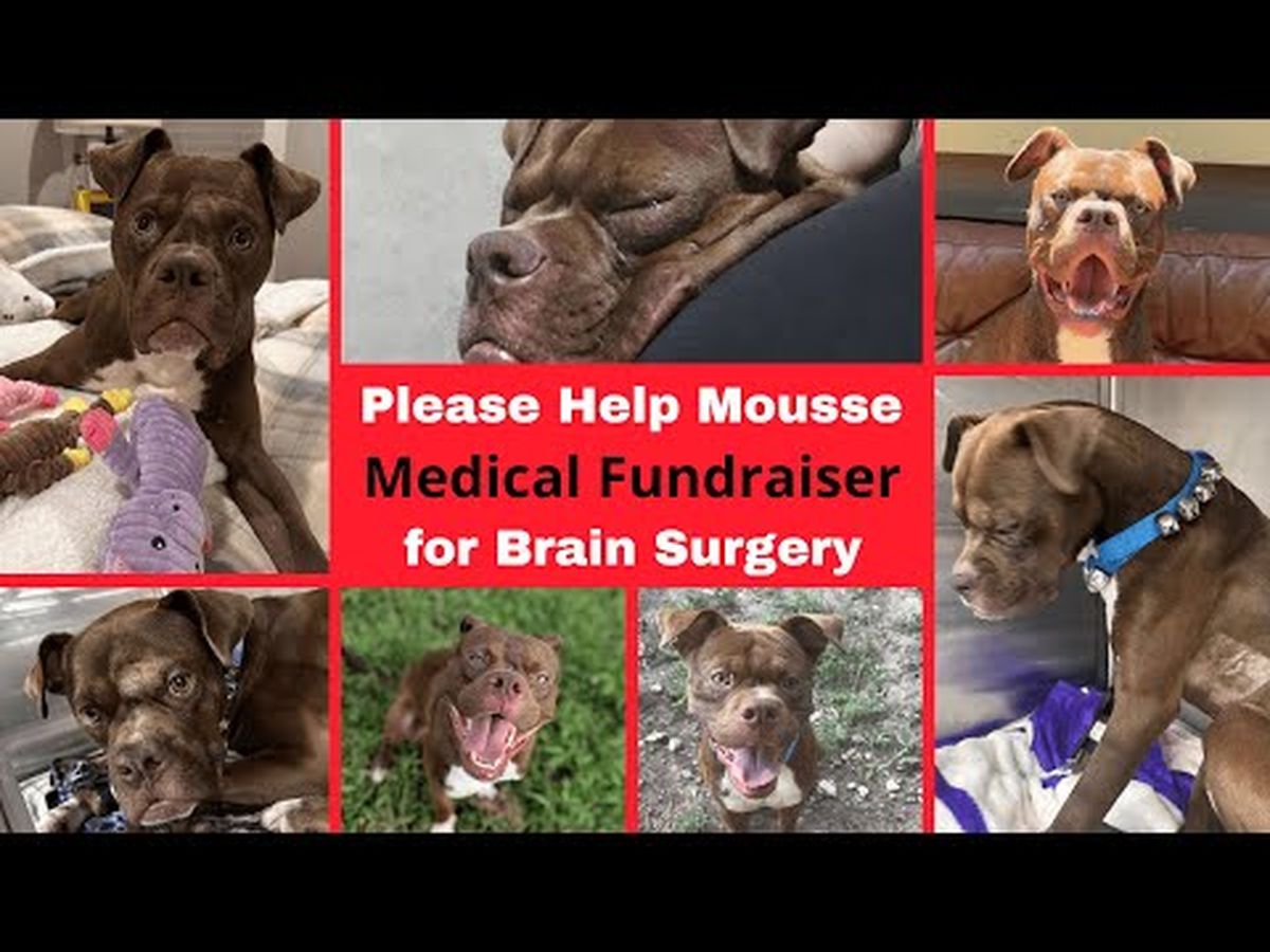 Fundraiser’s main image