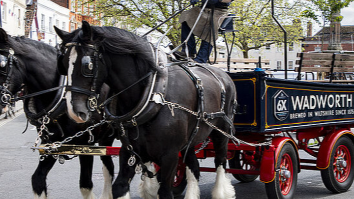 Fund a sculpture of the wonderful Devizes Shire Horses campaign photo, 1 of 3