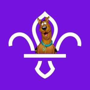 GoFundMe profile picture for @scooby