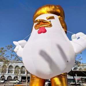 Trump Chicken
