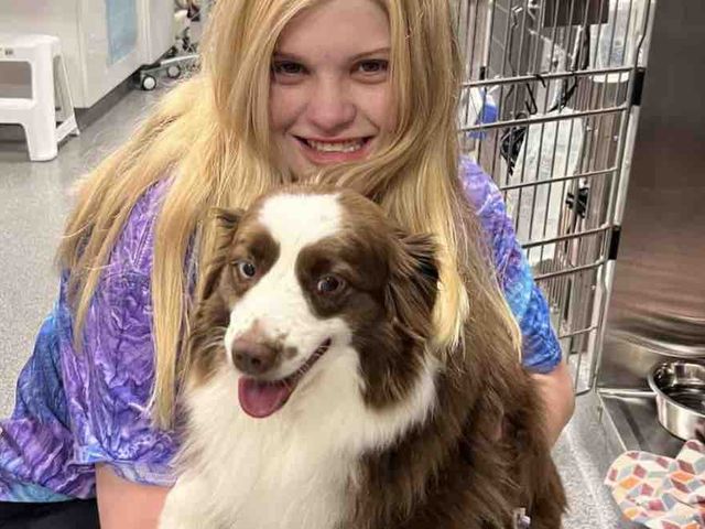 Fundraiser by Carrie Critcher : Qupid ❤️