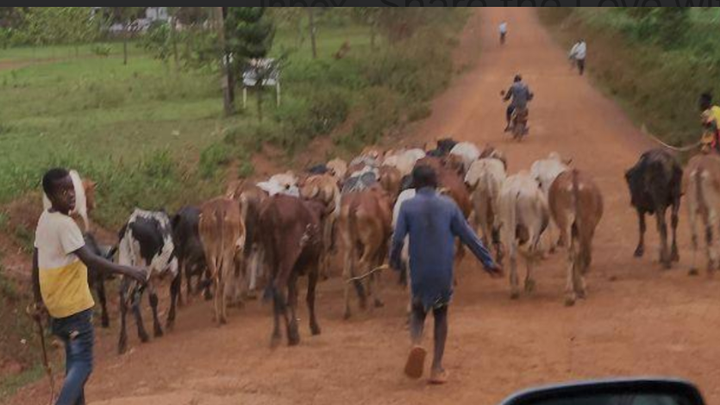 Join David in Transforming Lives in Uganda campaign photo, 1 of 7