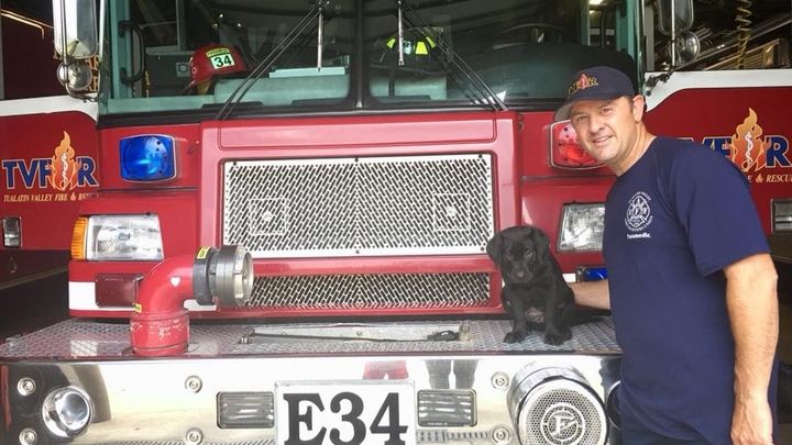 Main fundraiser photo
