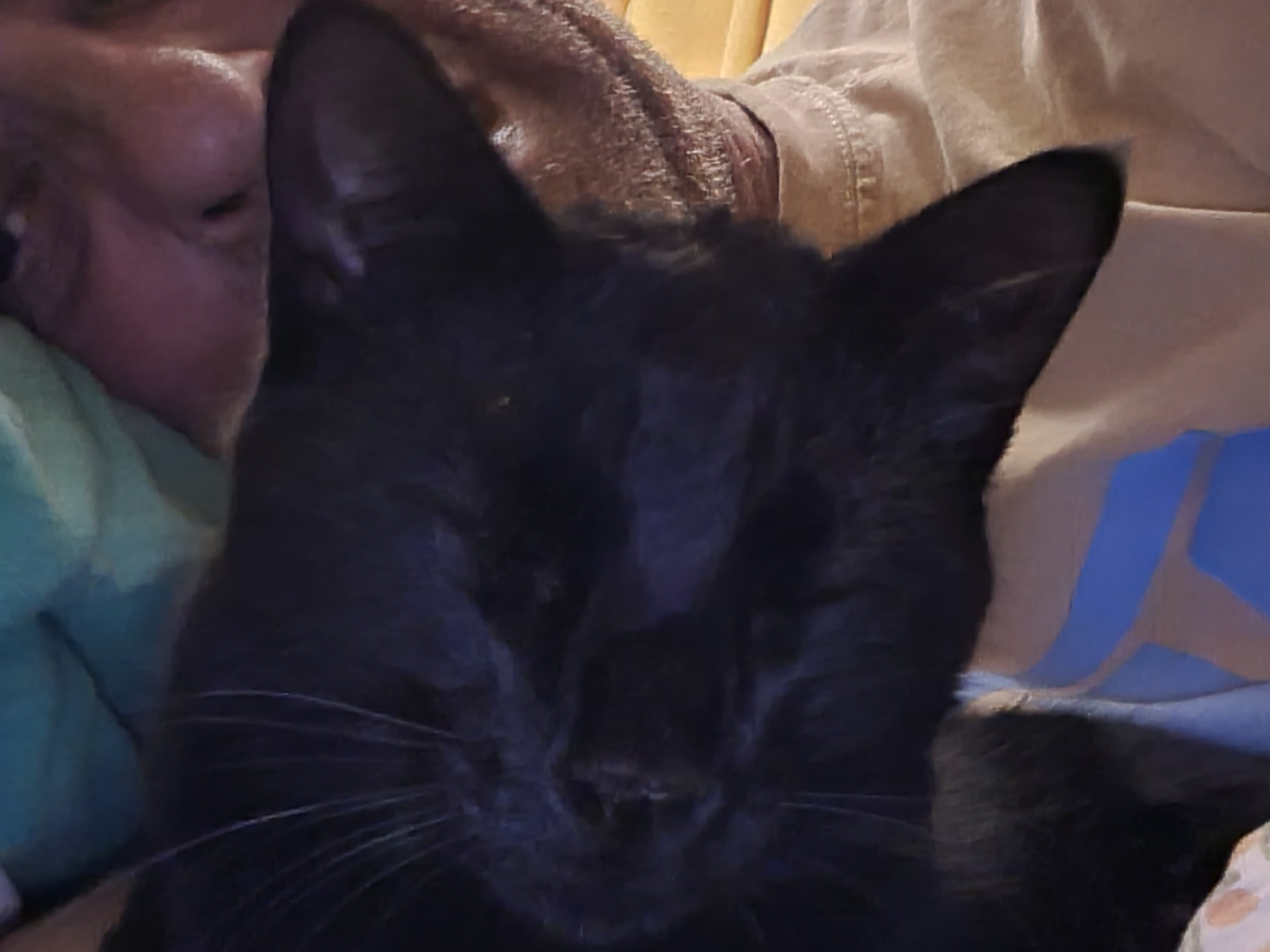 Fundraiser’s main image