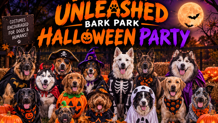 Support a Spooktacular Halloween at Northborough Bark Park campaign photo, 1 of 3