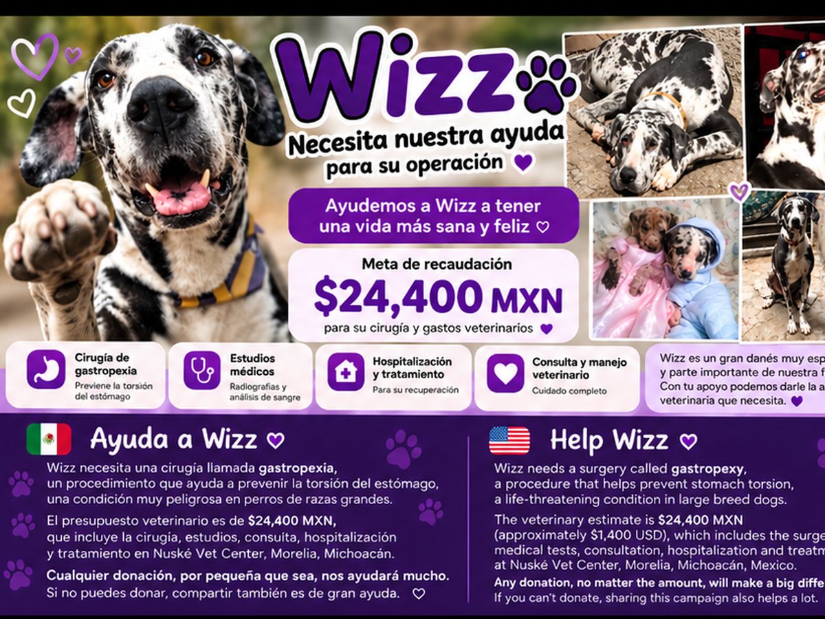 Imagen principal de la recaudación de fondos