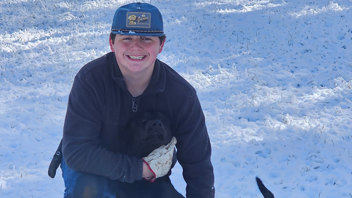 Help Save Brewster: Emergency Surgery Needed campaign photo, 1 of 8