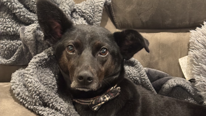 Please help Brooklyn get PT campaign photo, 1 of 8
