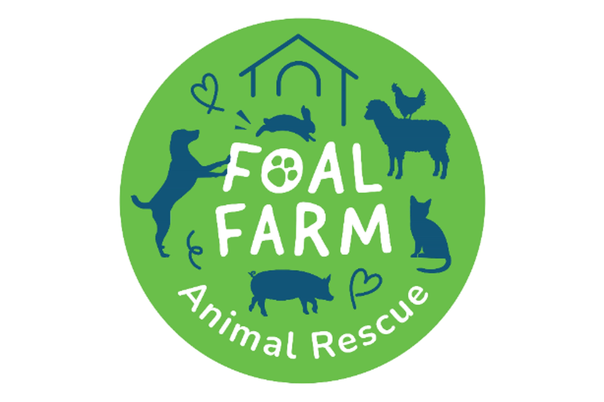 Fundraiser by Amy Penny : Help Amy & Boycie raise money for Foal Farm